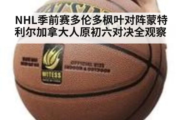 NHL季前赛多伦多枫叶对阵蒙特利尔加拿大人原初六对决全观察
